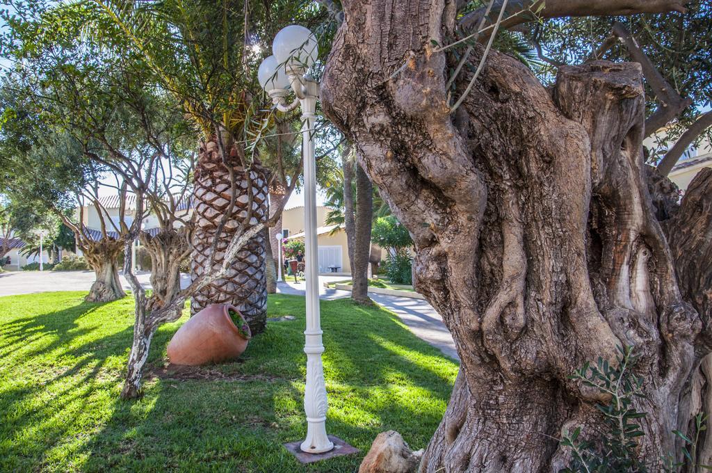 Marinda Garden Aparthotel Cala en Bosch Εξωτερικό φωτογραφία